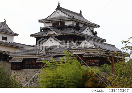 松山城:天守閣(愛媛県松山市) 松山城:天守閣(愛媛県松山市) 135455367
