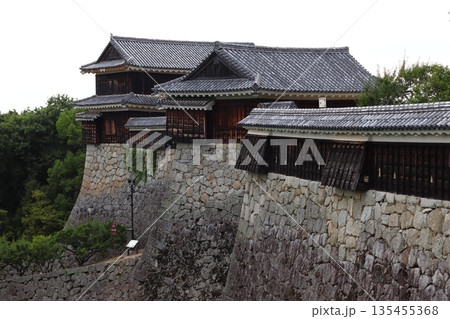 松山城：乾櫓（愛媛県松山市） 135455368