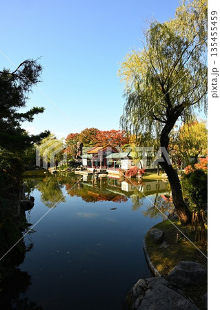 秋の天寿園で見られる中国庭園の風景（新潟県新潟市） 135455459