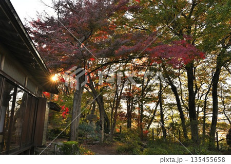 越路もみじ園に広がる紅葉の風景(新潟県長岡市) 越路もみじ園に広がる紅葉の風景(新潟県長岡市) 135455658
