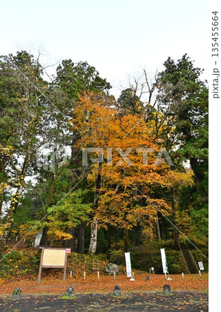 長岡市栃尾の杜々の森に広がる紅葉景色(新潟県長岡市栃尾) 長岡市栃尾の杜々の森に広がる紅葉景色(新潟県長岡市栃尾) 135455664