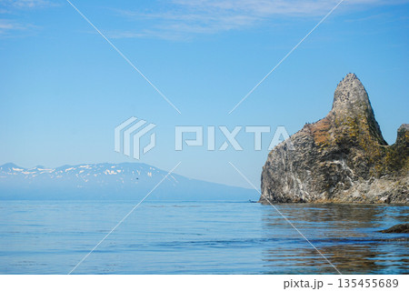 A vibrant bird market on a rocky island along the Okhotsk Sea coast in the Kuril Islands, captured on a sunny clear day. A vibrant bird market on a rocky island along the Okhotsk Sea coast in the Kuril Islands, captured on a sunny clear day. 135455689