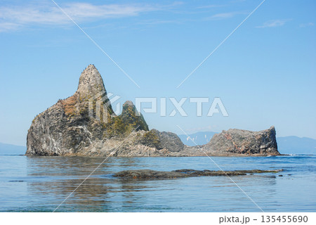 A vibrant bird market on a rocky island along the Okhotsk Sea coast in the Kuril Islands, captured on a sunny clear day. 135455690