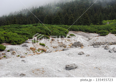Active fumarole fields on a Kuril Islands volcano slope surrounded by summer greenery. Active fumarole fields on a Kuril Islands volcano slope surrounded by summer greenery. 135455723