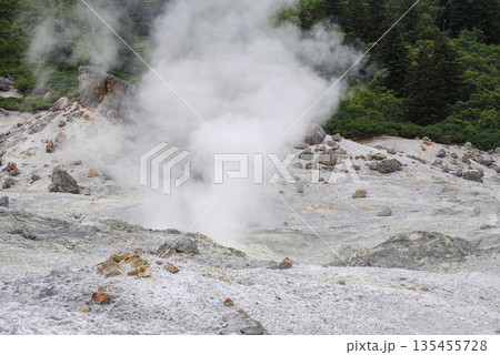 A lush green summery landscape on the Kuril Islands featuring active volcanic fumarole fields. A lush green summery landscape on the Kuril Islands featuring active volcanic fumarole fields. 135455728