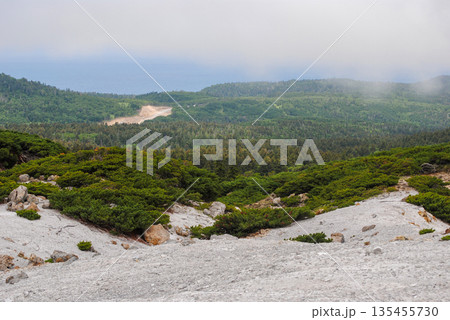 Active fumarole fields on a Kuril Islands volcano slope surrounded by summer greenery. Active fumarole fields on a Kuril Islands volcano slope surrounded by summer greenery. 135455730
