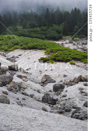 Active fumarole fields on a Kuril Islands volcano slope surrounded by summer greenery. 135455734