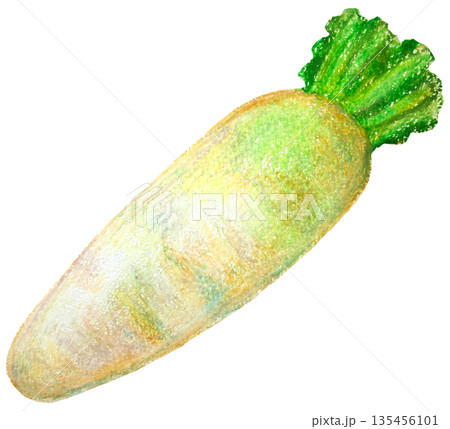 大根のイラスト オイルパステル画 135456101