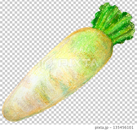 大根のイラスト オイルパステル画 135456101