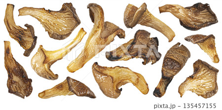 Grilled Oyster mushroom slices isolated on white background with clipping path, full depth of field 135457155