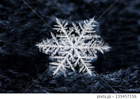 Macro photo shot of a detailed real snowflake on dark blue with sharp crystal structure and fine texture. Christmas winter snowflakes background. Snowflake Closeup. Copy space. Ice, frost 135457156