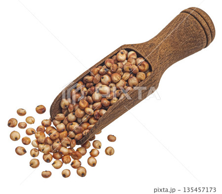 Sorghum grains in wooden scoop isolated white background, full depth of field Sorghum grains in wooden scoop isolated white background, full depth of field 135457173