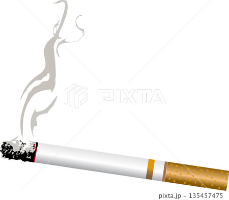 Lit Cigarette Illustration Featuring Minimalist Smoking Symbol for Tobacco Health and Awareness Design Lit Cigarette Illustration Featuring Minimalist Smoking Symbol for Tobacco Health and Awareness Design 135457475