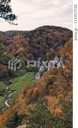 Autumn Altitude with Cliffs and Golden Trees 135457588