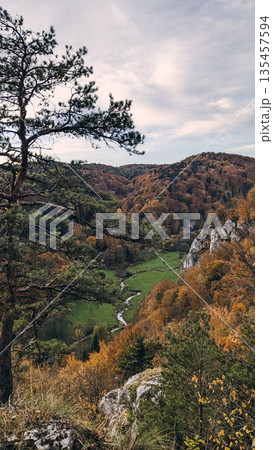 Autumn Altitude Overlooking Forest Valley 135457594