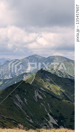 Mountain Ridge Trail in Summer Mountain Ridge Trail in Summer 135457607