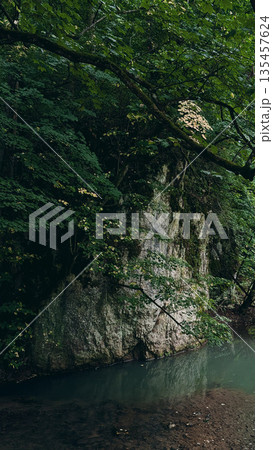 Rock Cliff and Forest Reflections in Stream 135457624
