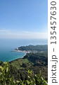 Coastal View with Forest and Beach 135457630