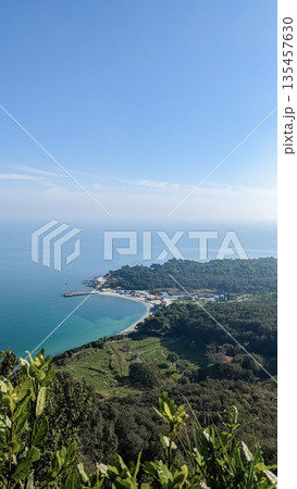 Coastal View with Forest and Beach 135457630