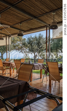 Italian Restaurant Terrace with Olive Trees Italian Restaurant Terrace with Olive Trees 135457636
