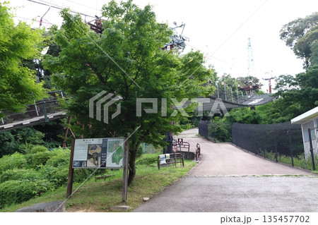 松山城/城山公園:東雲口登城道(愛媛県松山市) 松山城/城山公園:東雲口登城道(愛媛県松山市) 135457702