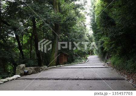 松山城／城山公園：東雲口登城道（愛媛県松山市） 135457703