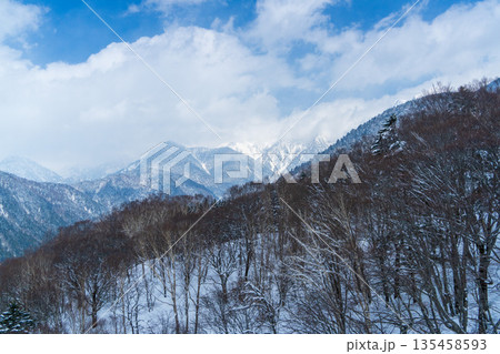 冬の新穗高に広がる雪景色と針葉樹林 冬の新穗高に広がる雪景色と針葉樹林 135458593