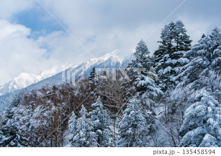 冬の新穗高に広がる雪景色と針葉樹林 冬の新穗高に広がる雪景色と針葉樹林 135458594