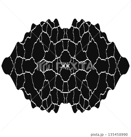 Symmetrical Black Abstract Graphic with White Veined Texture, Organic Ornate Pattern for Modern Background Design 135458990