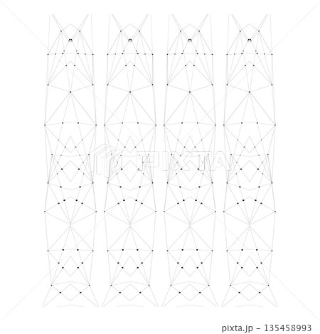 Symmetrical Geometric Line Art Pattern with Vertical Mesh Structure, Abstract Technical Drawing and Architectural Concept 135458993
