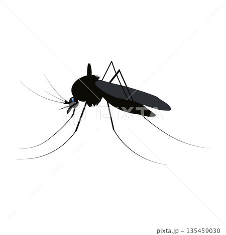 Mosquito Silhouette Profile Icon, Pest Control and Disease Prevention Concept for Malaria and Zika Awareness Mosquito Silhouette Profile Icon, Pest Control and Disease Prevention Concept for Malaria and Zika Awareness 135459030