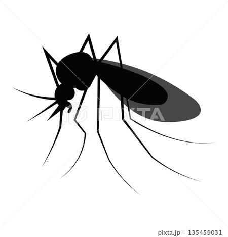 Detailed Mosquito Insect Silhouette, Pest Management and Parasitic Disease Vector for Scientific Illustration 135459031