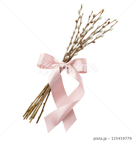 Soft grey pussy willow branches tied with delicate pink ribbon, isolated on transparent background. Simple sign of early spring and easter decor 135459779