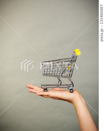 Woman hand holding small tiny shopping cart Woman hand holding small tiny shopping cart 135460867