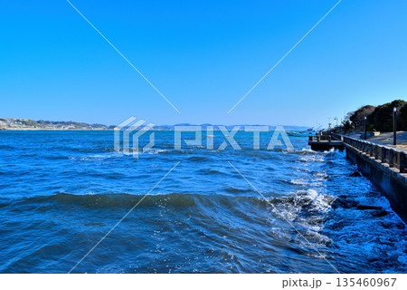 真冬の江ノ島湘南港北緑地広場から江ノ島大橋 135460967