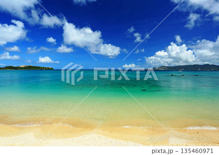 沖縄本島　名護の美しい海 135460971