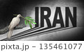 Iran Peace 135461077