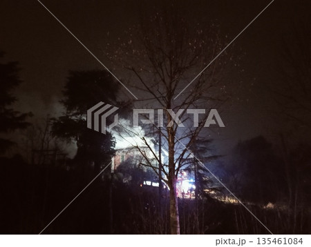 Night fire emergency with thick white smoke rising behind silhouetted trees Night fire emergency with thick white smoke rising behind silhouetted trees 135461084