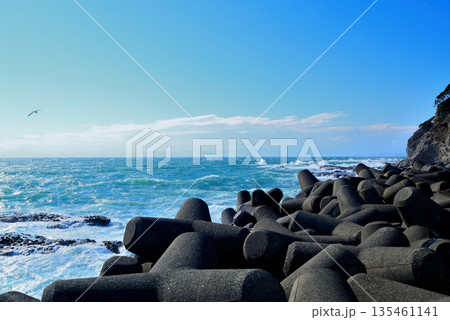 江ノ島　湘南大堤防から観た嵐の前 強風の相模湾 135461141