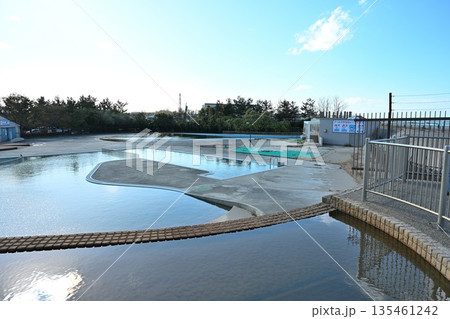 山の下海浜公園の屋外プール施設(新潟県新潟市) 山の下海浜公園の屋外プール施設(新潟県新潟市) 135461242