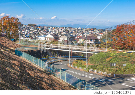 住宅街の風景とさわさかな青空 135461375