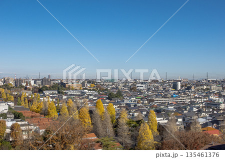 住宅街の風景とさわさかな青空 住宅街の風景とさわさかな青空 135461376