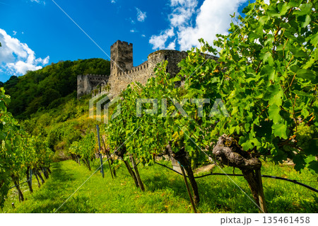 Castle Hinterhaus in Spitz Wachau Austria with Danube river and vineyards Castle Hinterhaus in Spitz Wachau Austria with Danube river and vineyards 135461458