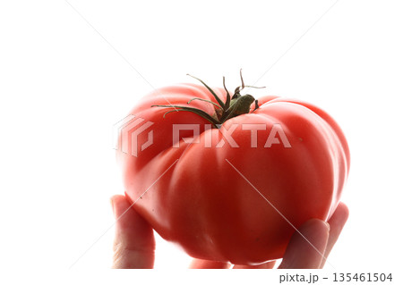Red raw tomatoes served fresh as natural and healthy food. Red raw tomatoes served fresh as natural and healthy food. 135461504