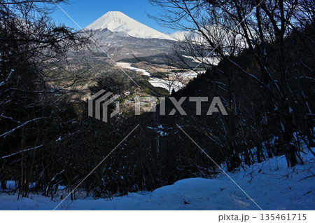 愛鷹山塊の黒岳展望広場より　雪積もる森に雪化粧した富士山 135461715