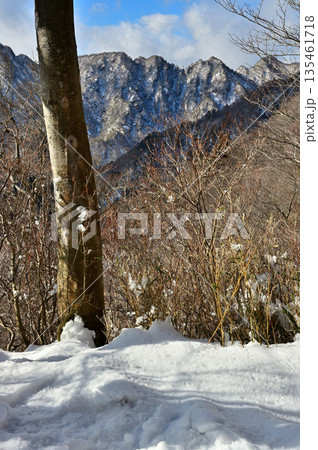 愛鷹山塊の越前岳 鋸岳展望台から雪景色の鋸岳、蓬莱岳(蓬莱山)、呼子岳 愛鷹山塊の越前岳 鋸岳展望台から雪景色の鋸岳、蓬莱岳(蓬莱山)、呼子岳 135461718
