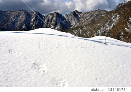 愛鷹山塊の越前岳 北白ガレンの雪庇の先に聳える厳冬の鋸岳の稜線 愛鷹山塊の越前岳 北白ガレンの雪庇の先に聳える厳冬の鋸岳の稜線 135461724