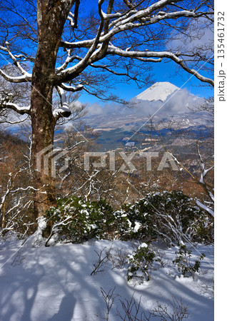愛鷹山塊の越前岳　雪景色の森に真冬の富士山 135461732