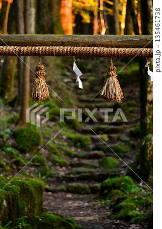 愛鷹山塊の越前岳 山神社の鳥居と参道 愛鷹山塊の越前岳 山神社の鳥居と参道 135461738