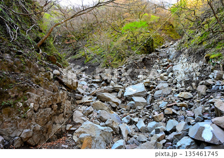 愛鷹山塊の越前岳 大沢ルート 割石峠付近の大沢の源流 愛鷹山塊の越前岳 大沢ルート 割石峠付近の大沢の源流 135461745